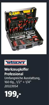 Wisent Werkzeugkoffer Professiona