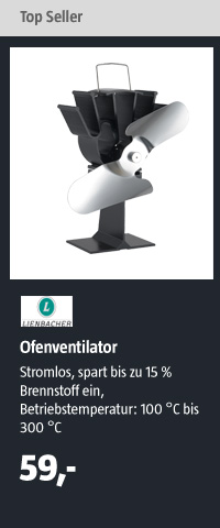 Lienbacher Ofenventilator