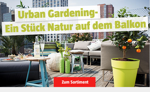 Urban Gardening - Ein Stück Natur auf dem Balkon