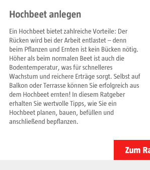 Hochbeet anlegen