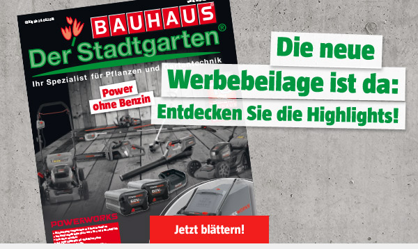 Die neue Werbebeilage ist da: Entdecken Sie die Highlights!